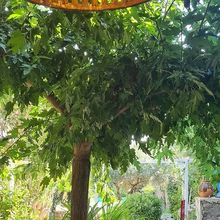 Fabulous Townhouse With Private Pool In Servian